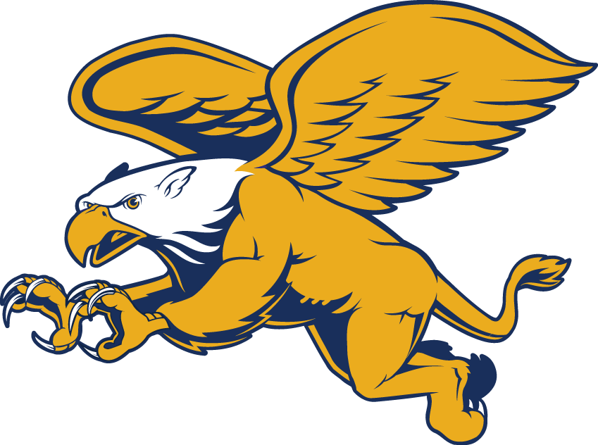 Canisius Golden Griffins 2006-Pres Secondary Logo diy fabric transfer